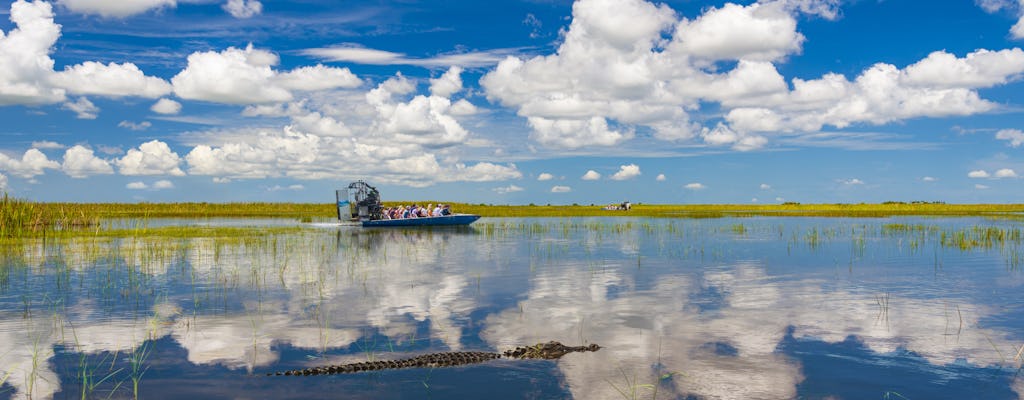 Excursão de dia inteiro ao Parque Nacional Everglades com traslado de ida e volta