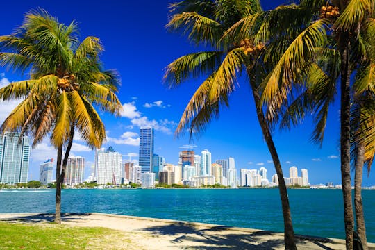 Miami-dagtour met sightseeingbus met cruise van 90 minuten en Everglades-airboat