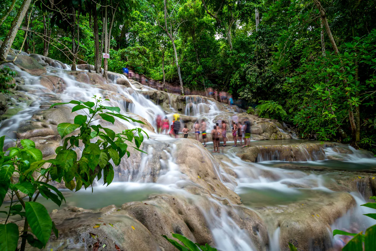 Dolphin Swim Experiences & Dunn's River Fall Tour