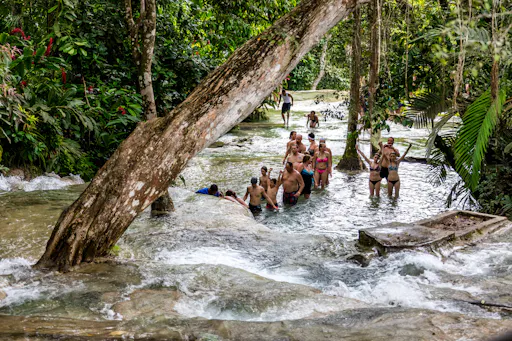 Dolphin Swim Experiences & Dunn's River Fall Tour