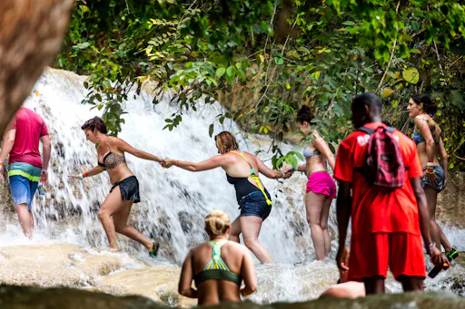 Dolphin Swim Experiences & Dunn's River Fall Tour