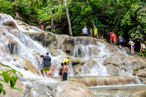 Dolphin Swim Experiences & Dunn's River Fall Tour