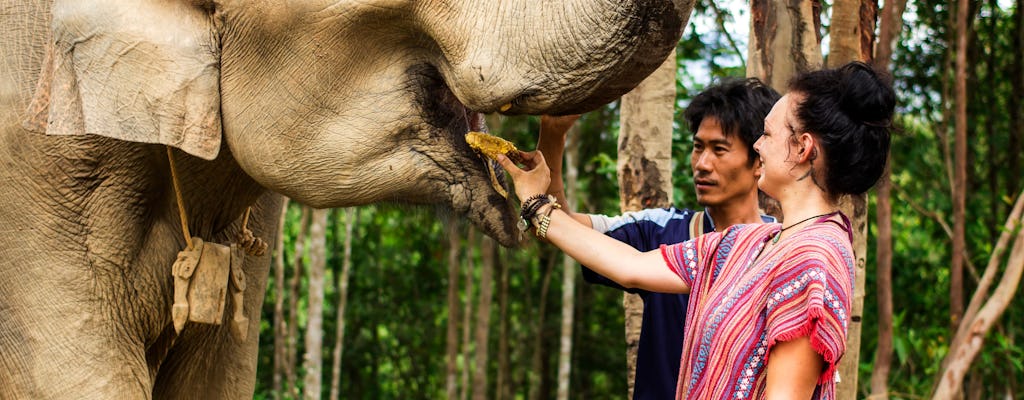 Elephant Jungle Sanctuary Chiang Mai Halbtagestour