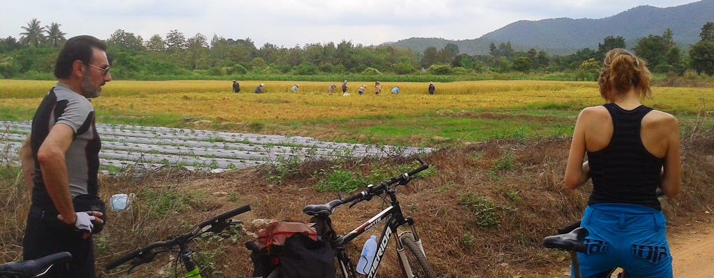 Visite à vélo dans la campagne de Chiang Mai