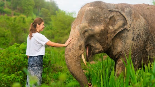 Nuitée dans un sanctuaire d'éléphants