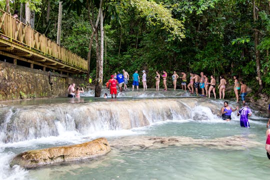 Expérience de baignade avec les dauphins et visite des cascades de Dunn's River