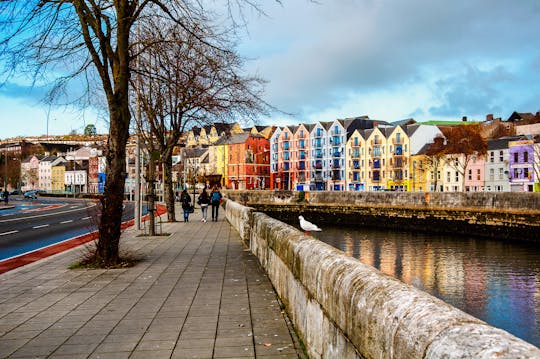 Il meglio del tour privato a piedi di Cork