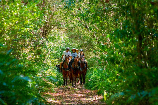Punta Cana Reittour durch den Ojos Indigenas Ecological Park
