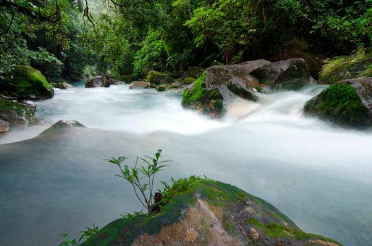 Senderismo en el Parque Nacional Volcán Tenorio