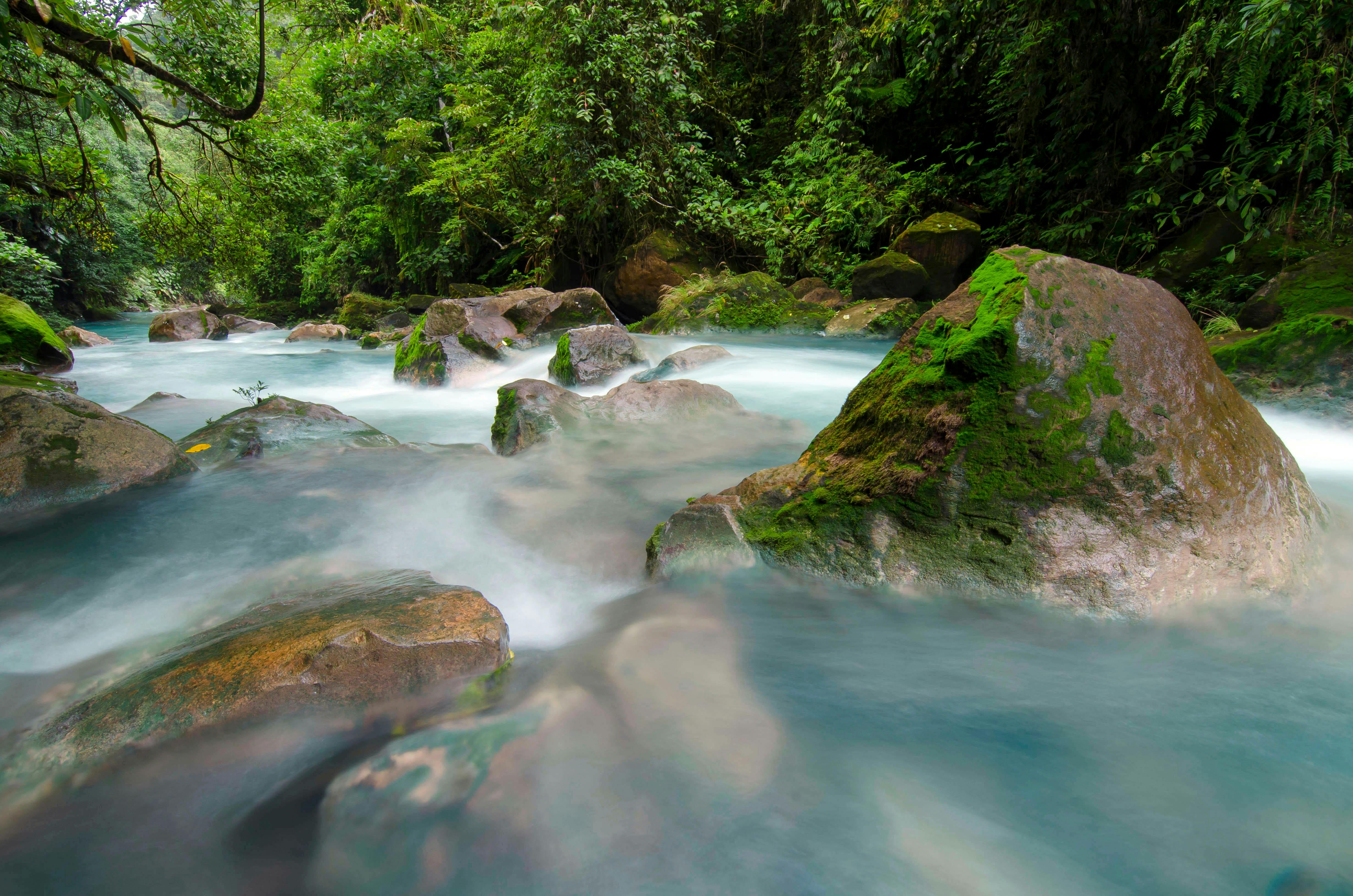 Hiking Tour in Tenorio Volcano National Park