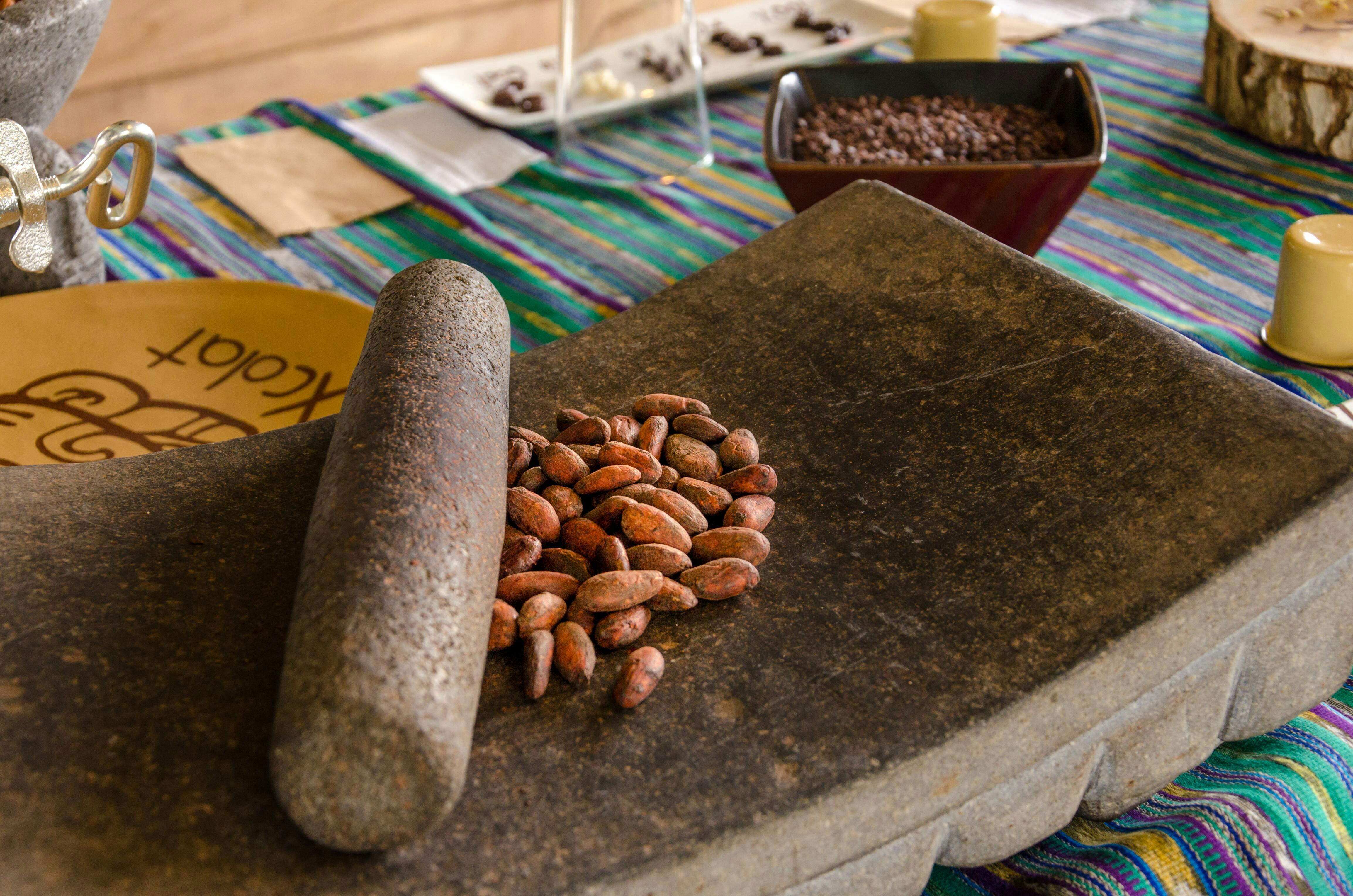 Peñas Blancas River Cruise and Chocolate Tasting