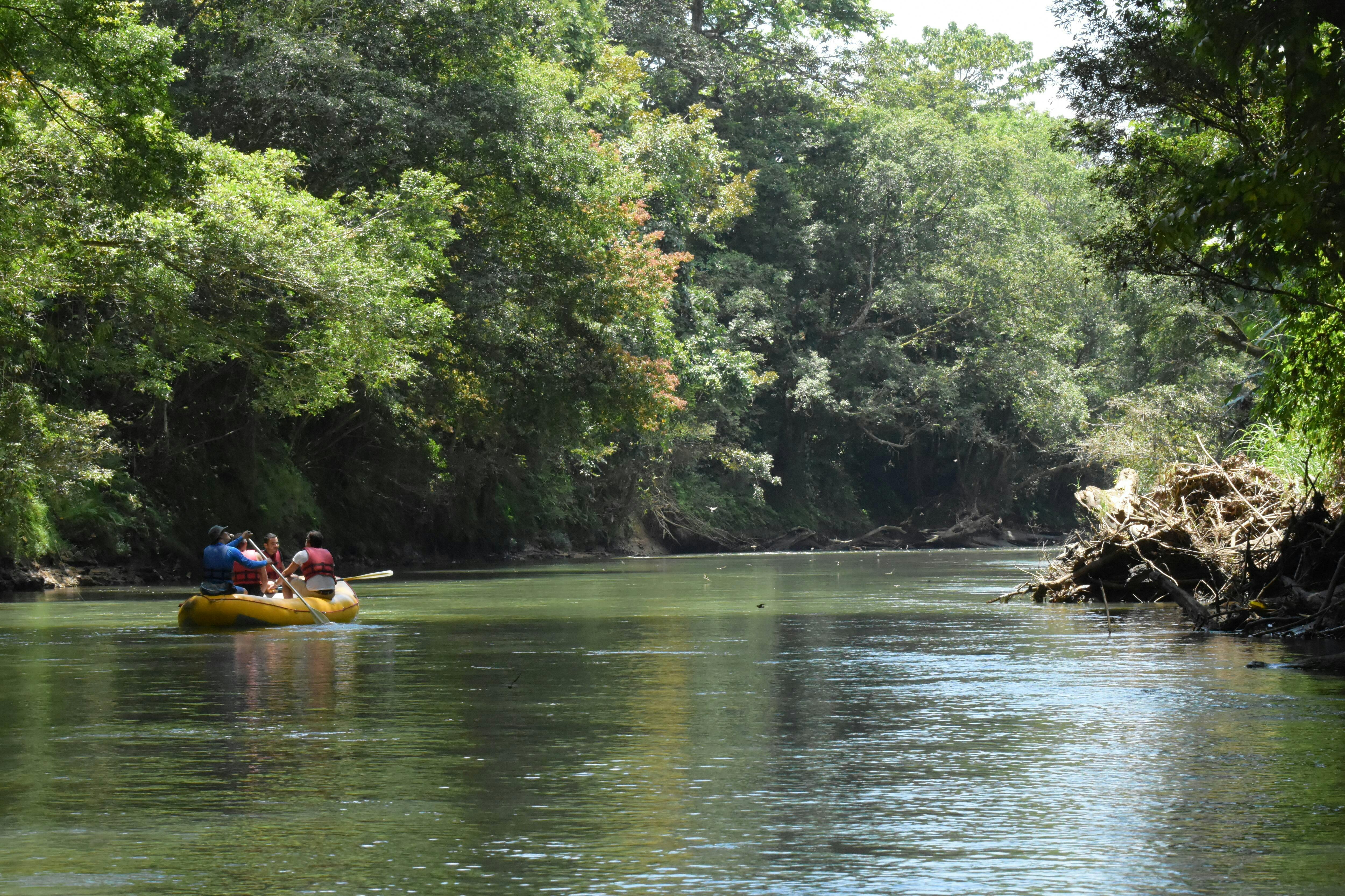 Peñas Blancas River Cruise and Chocolate Tasting