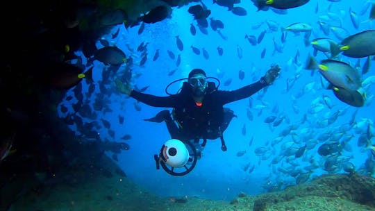 Expériences de plongée sous-marine à Sal