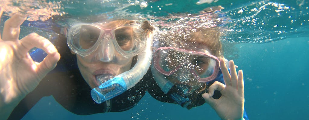 Expérience de plongée en apnée au musée de sculpture sous-marine d'Ayia Napa