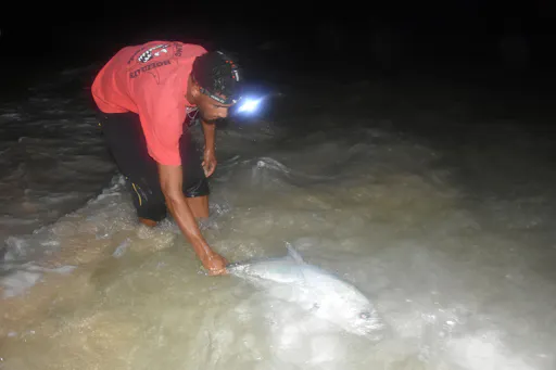 Sal Surf Casting Fishing Experience