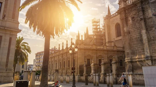 Santa Cruz Jewish quarter tour in Seville