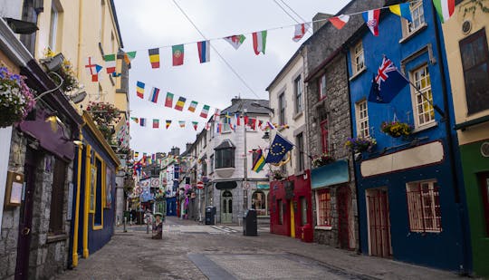 Het beste van een privéwandeling door Galway