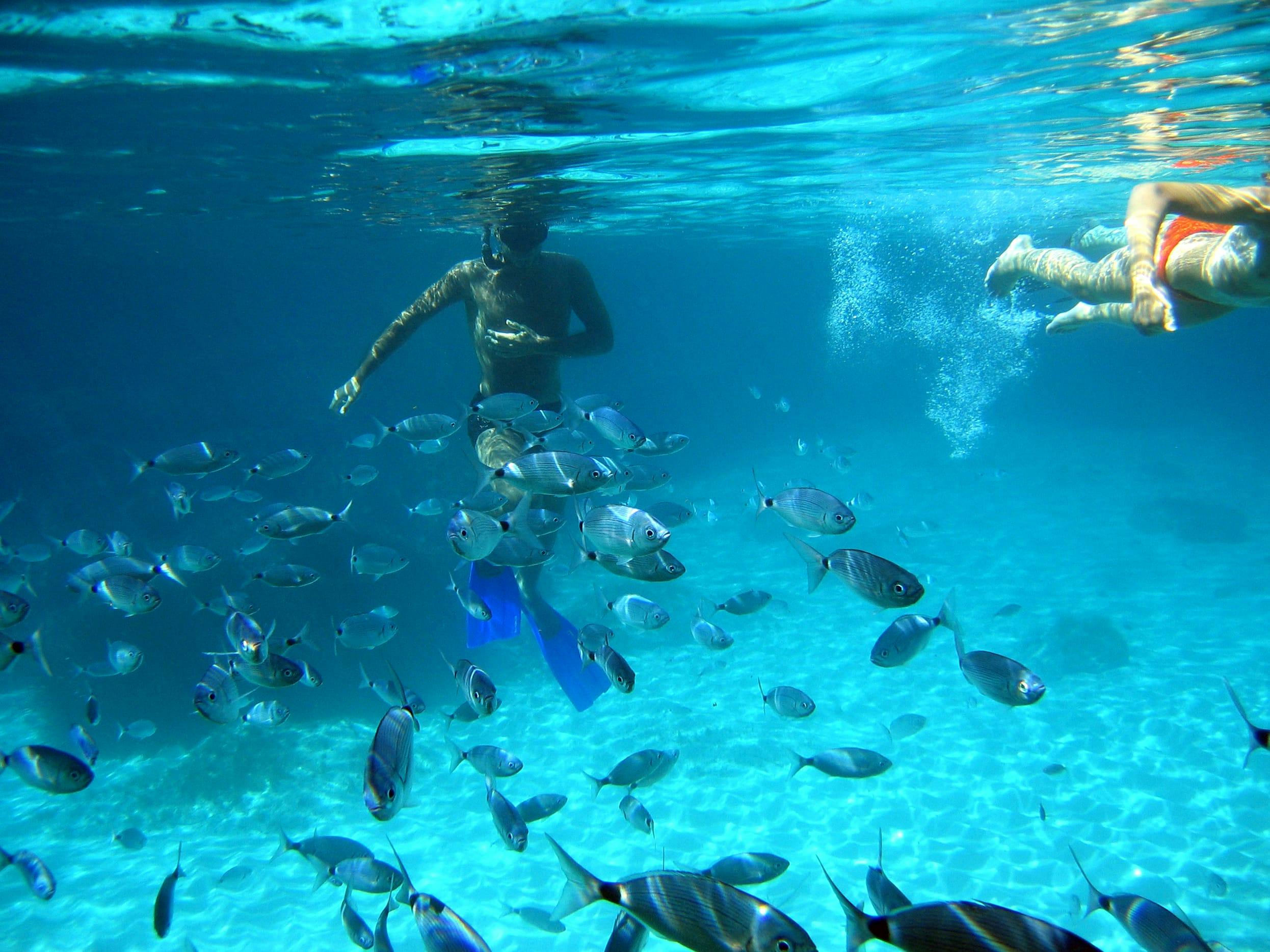 Formentera Snorkelling Boat Tour