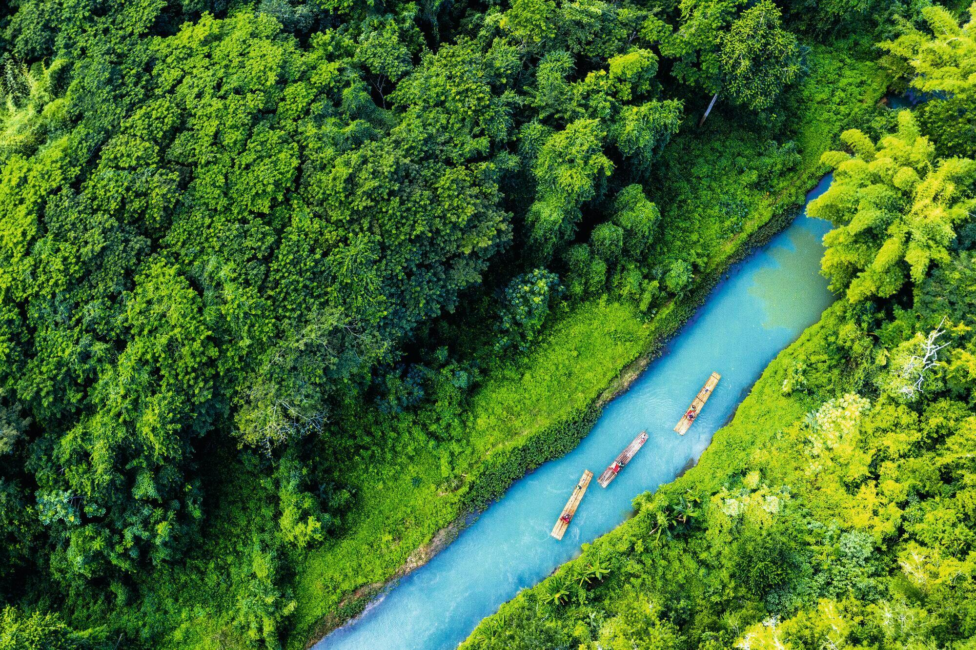 Rafting in bambù sul fiume Martha Brae