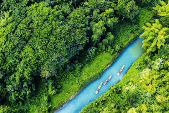 Rafting con i bambù sul fiume Martha Brae
