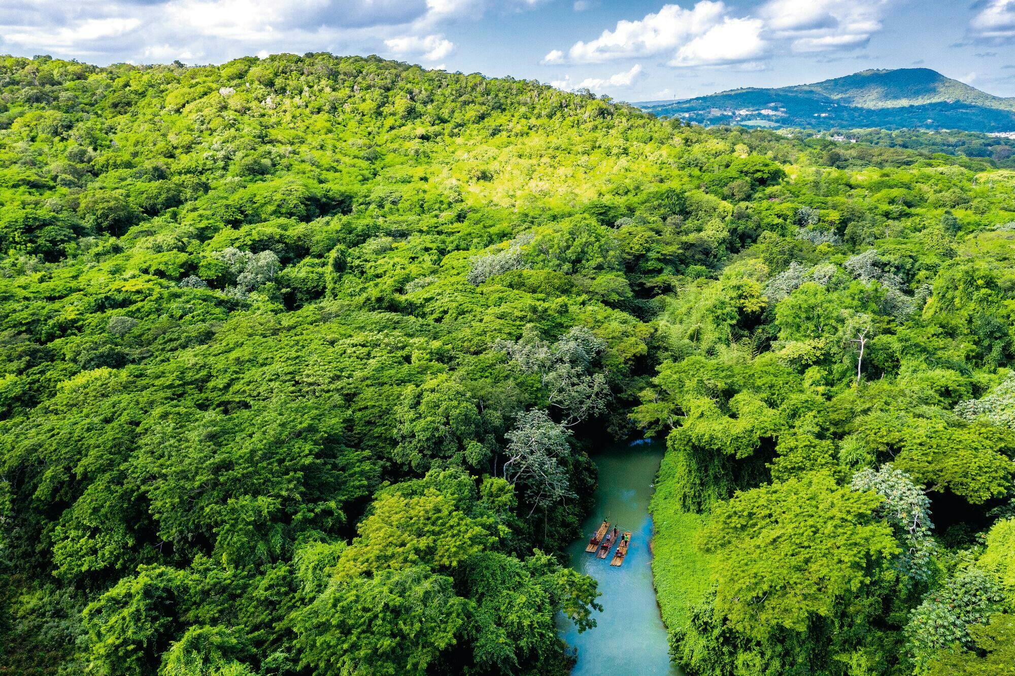 Bamboo Rafting on Martha Brae River