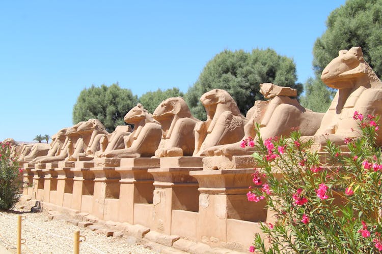 Luxor day trip from Sharm El Sheikh including flights