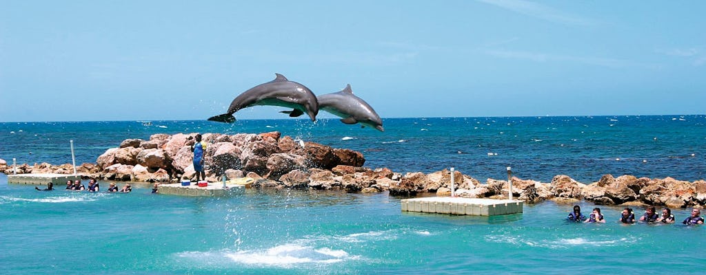 Dolphin Cove Ocho Rios & Yaaman Avonturenpark