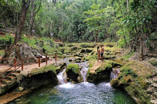 Dolphin Cove Ocho Rios & Yaaman Adventure Park