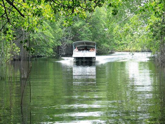 Private Black River & YS Falls Tour
