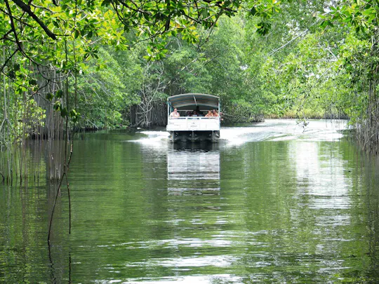 Private Black River & YS Falls Tour