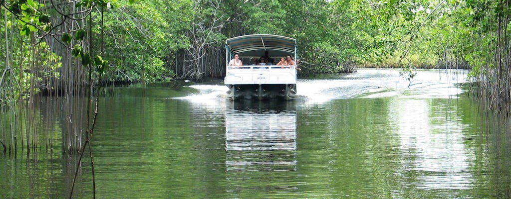 Private Black River & YS Falls Tour
