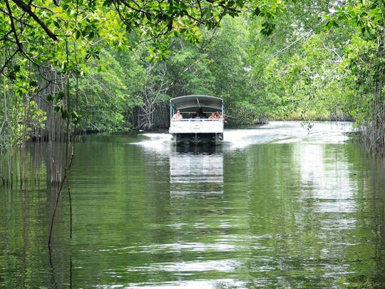 Privé-tour Black River & YS Watervallen
