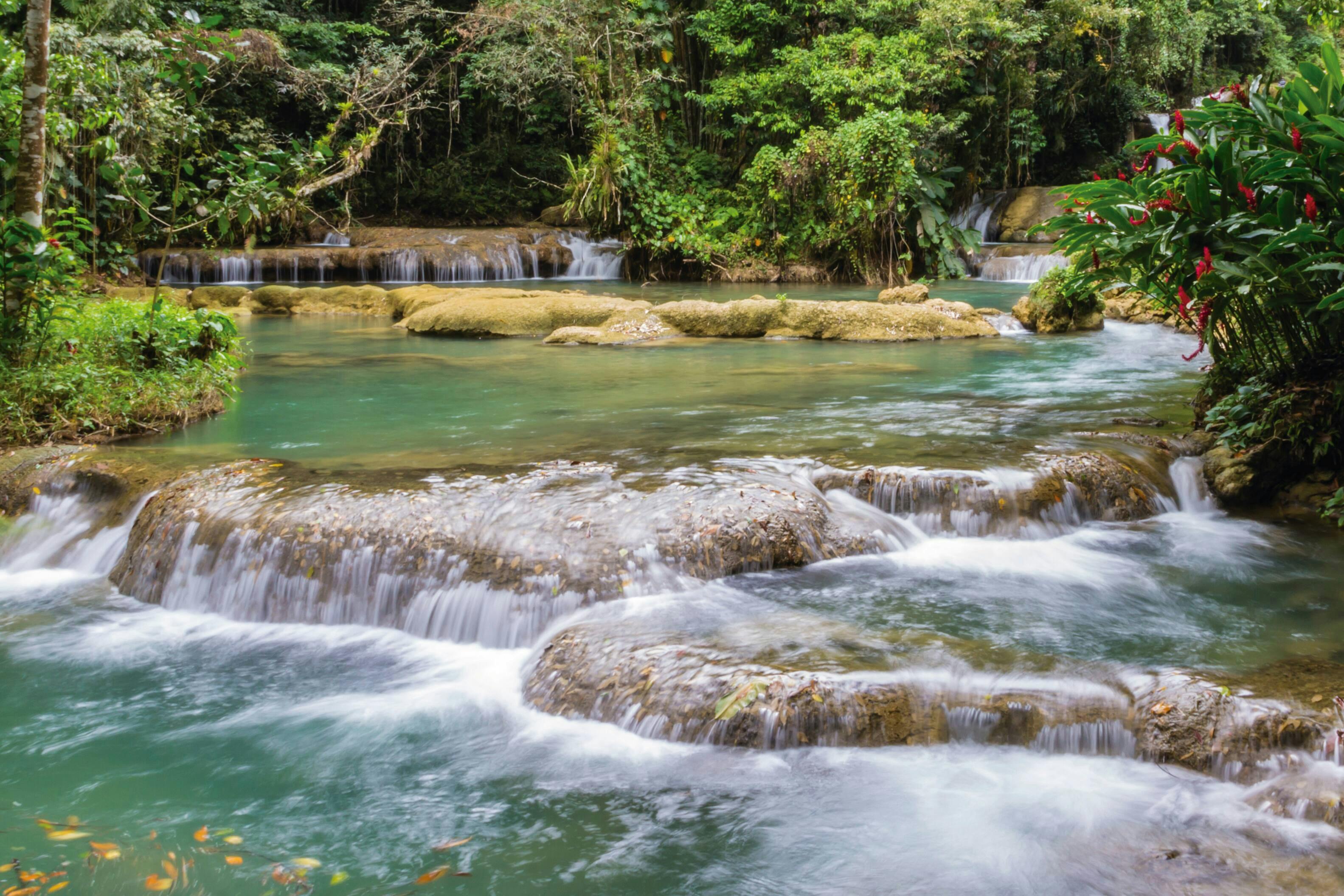 Private Black River & YS Falls Tour