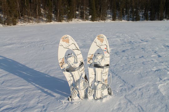 Classic snowshoeing tour in Levi