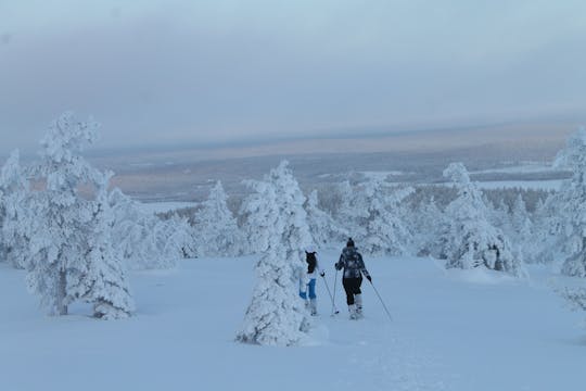 Wycieczka na rakietach śnieżnych w parku narodowym Pallas Fells z Levi