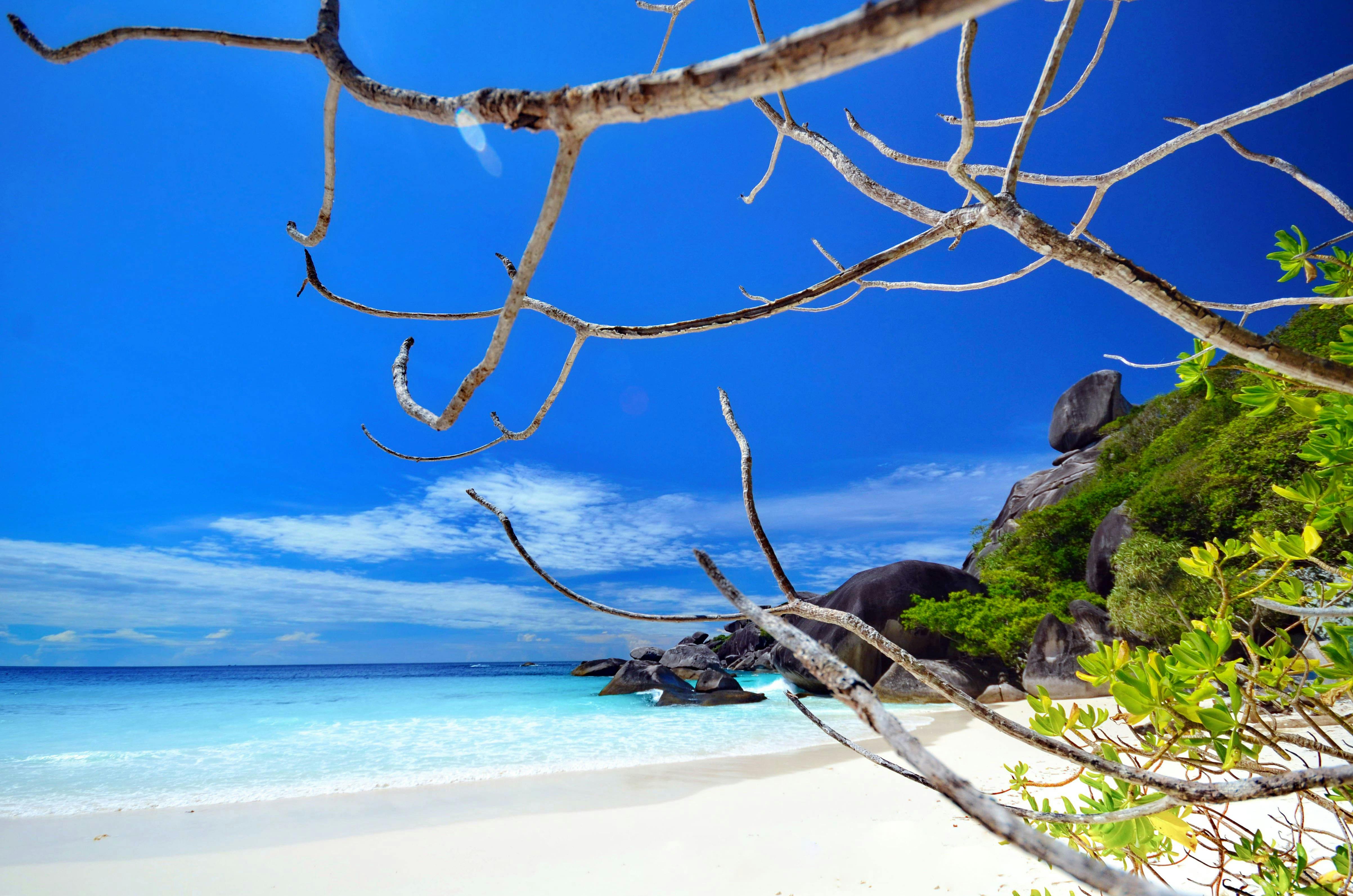 Speedboat Tour of Similan Islands