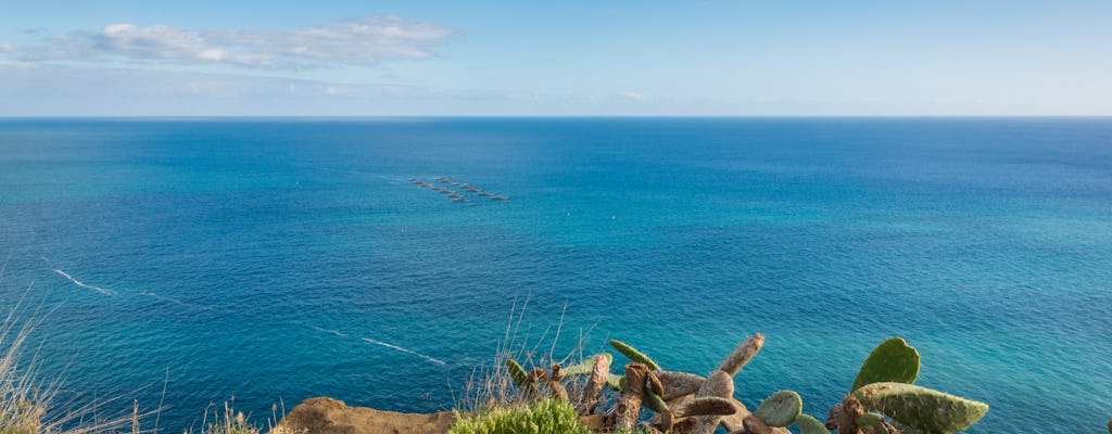 Tour en catamarán de 2 horas por la Ribeira Brava