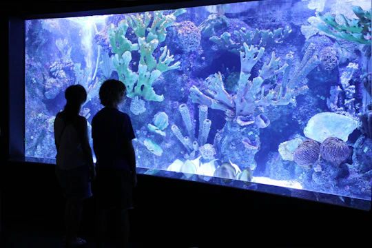 Antalya Aquarium with Shuttle