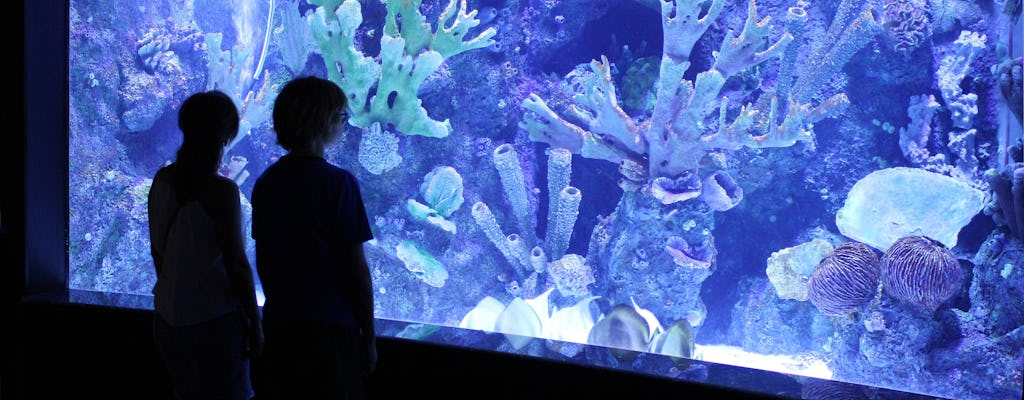 Antalya Aquarium with Shuttle
