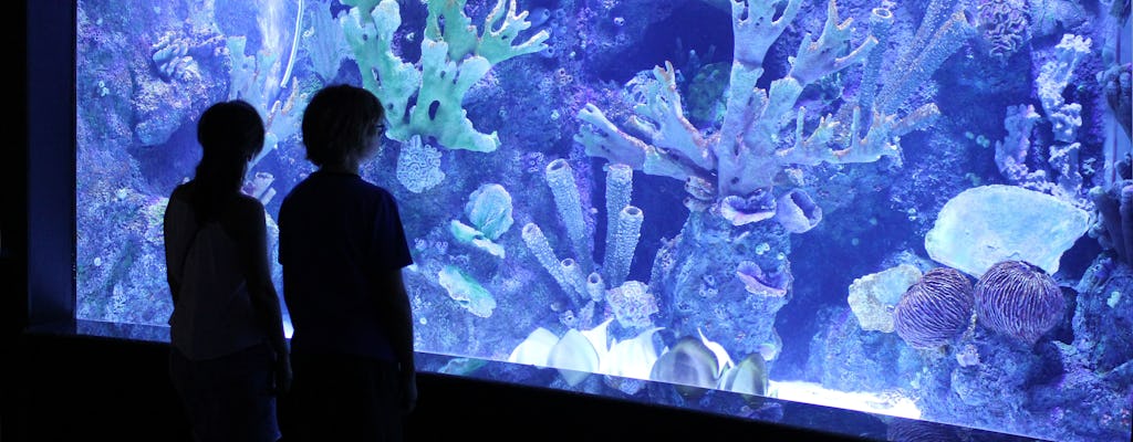 L'aquarium d'Antalya avec la navette