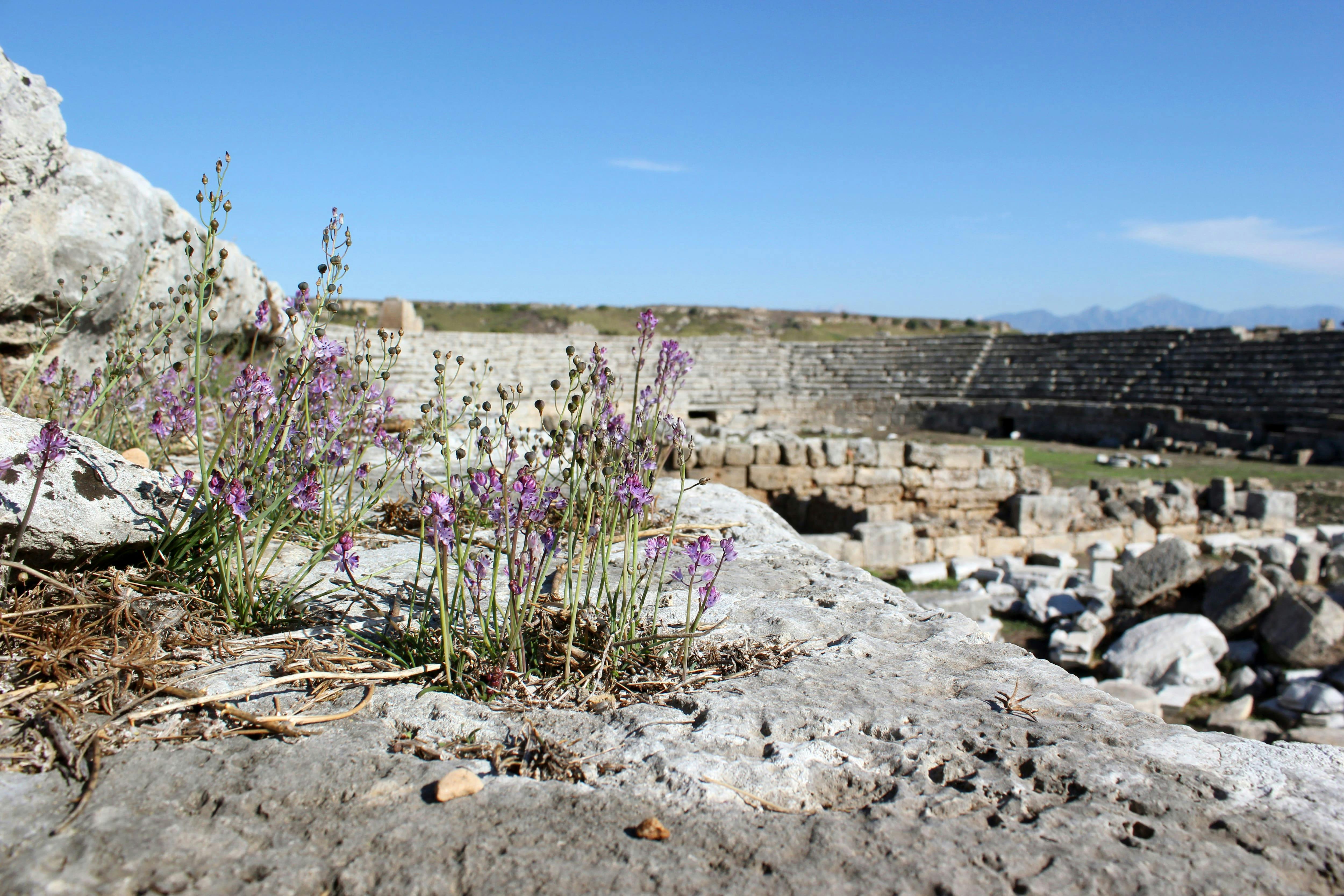 Ancient Perga & Aspendos Tour