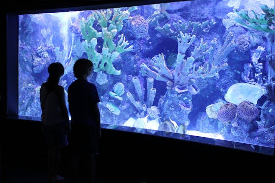 Antalya akvarium med transport