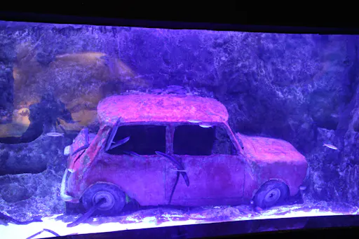 Antalya Aquarium with Shuttle