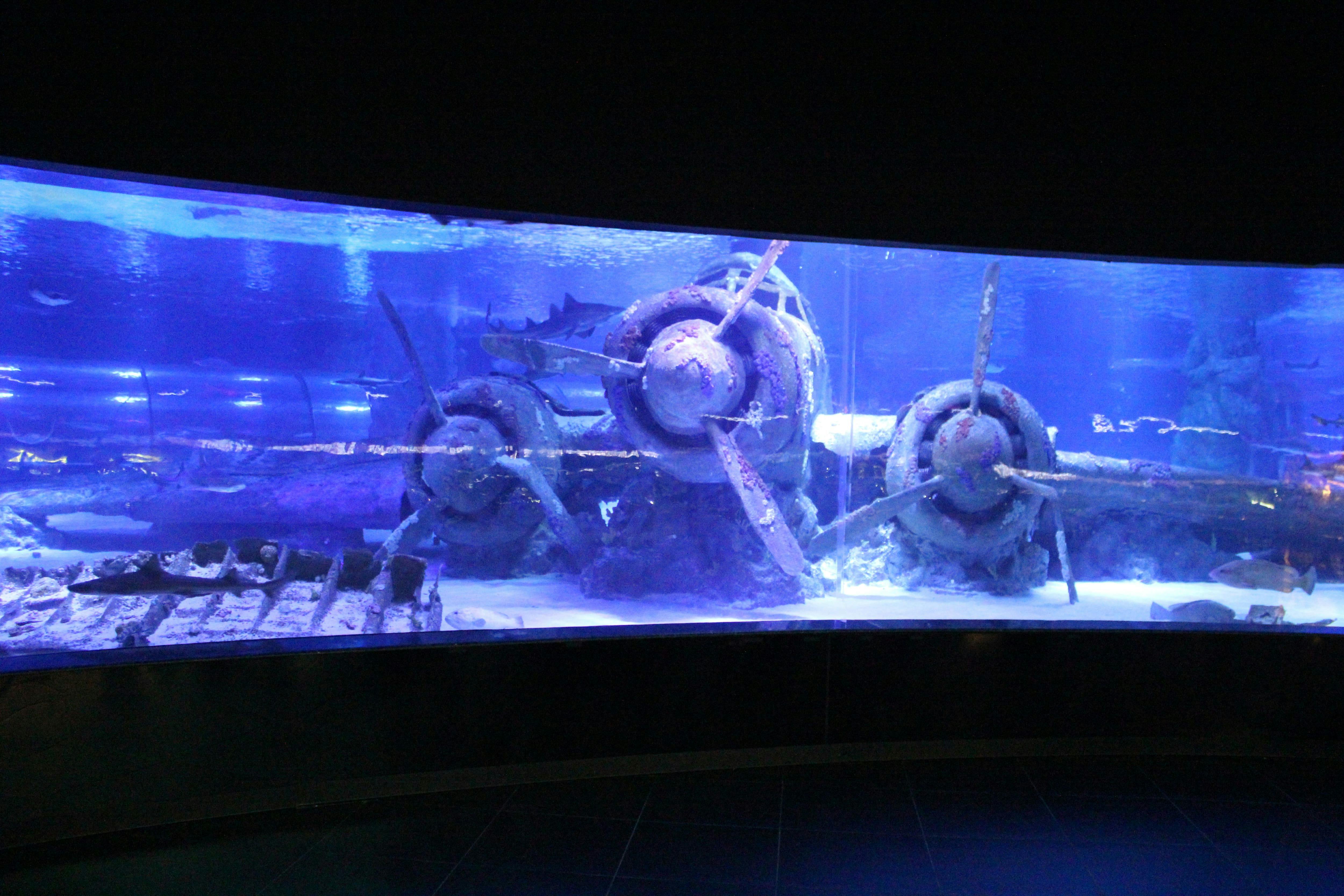 Antalya Aquarium with Shuttle