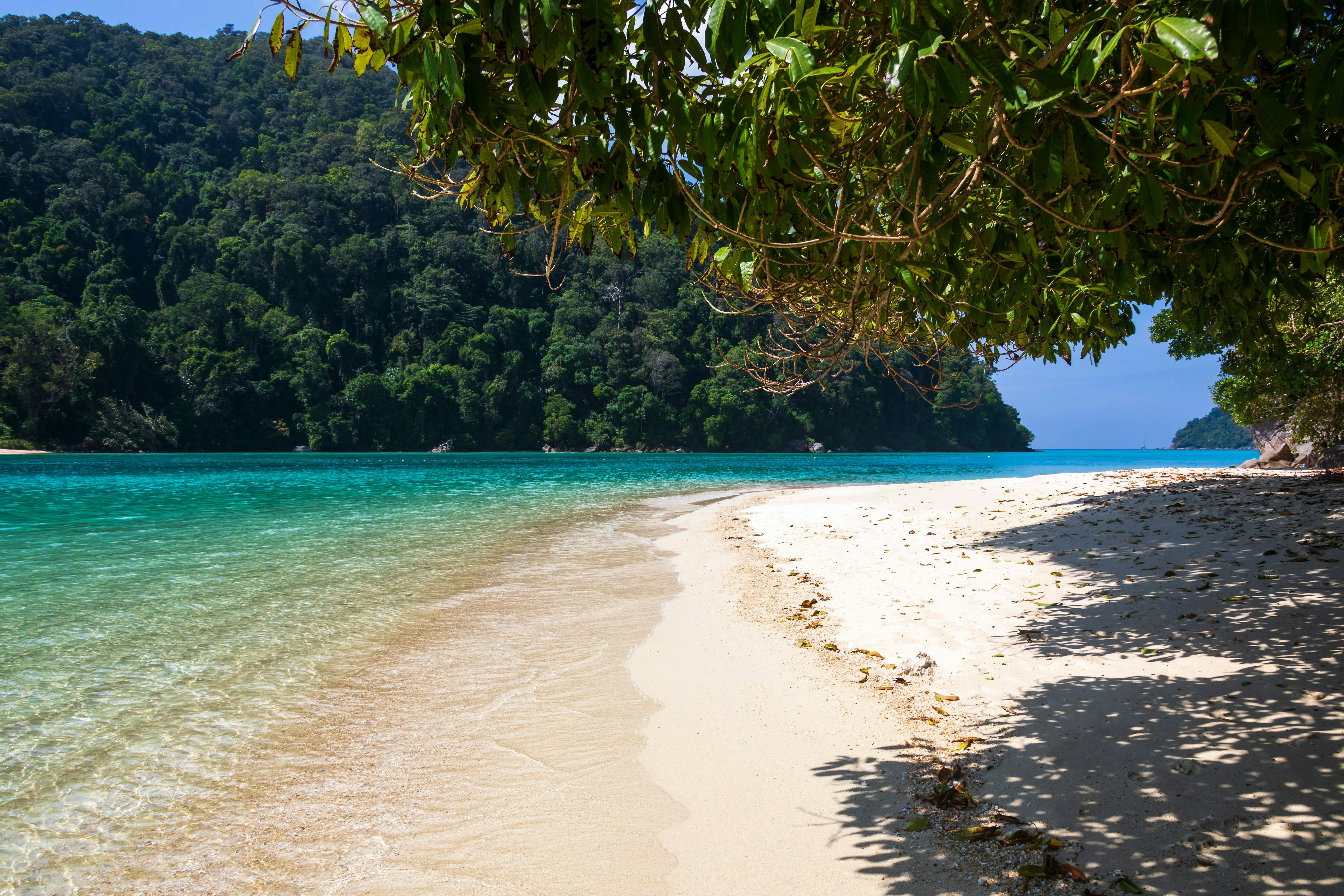 Surin Islands Early Bird Snorkelling Tour