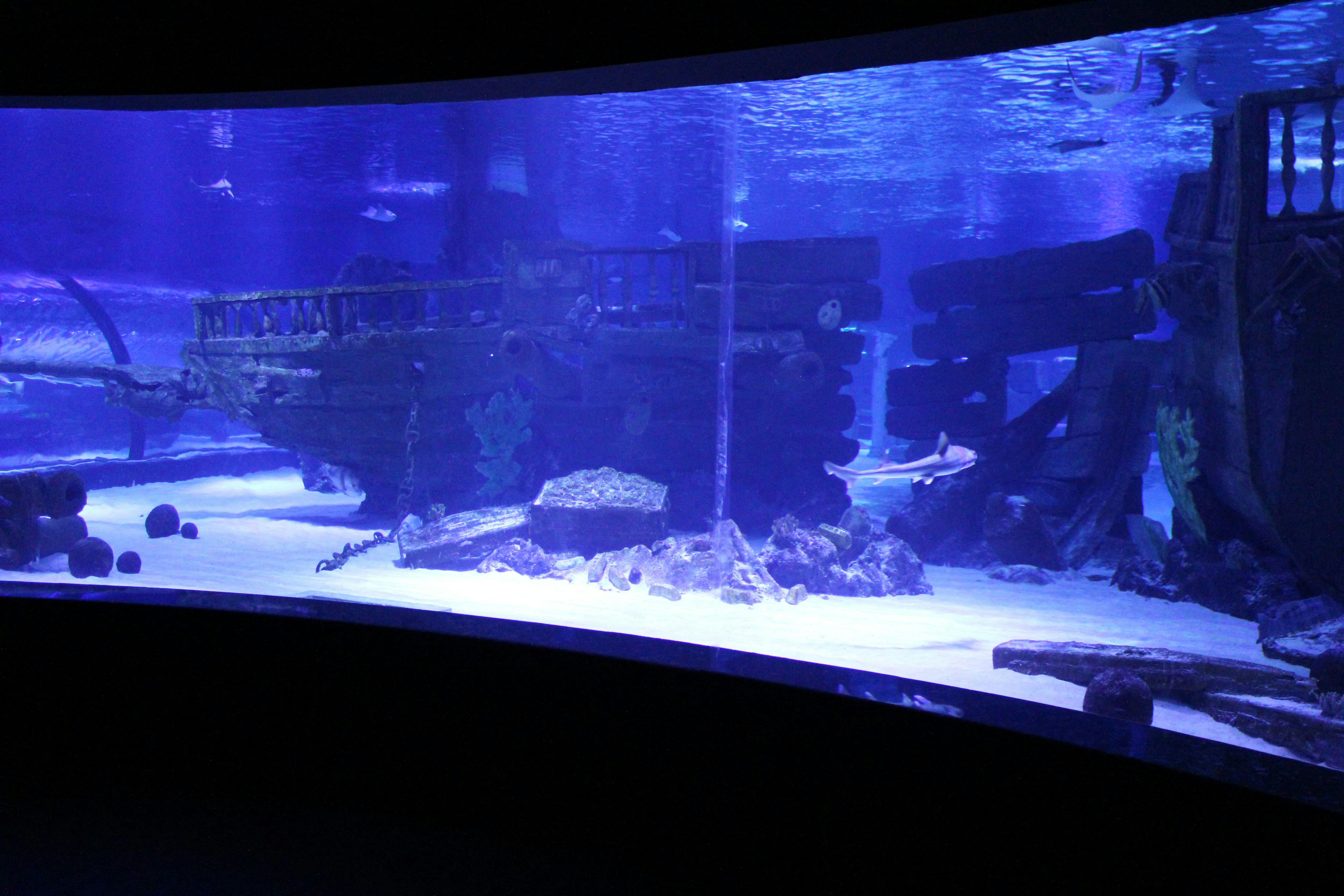 Antalya Aquarium Ticket
