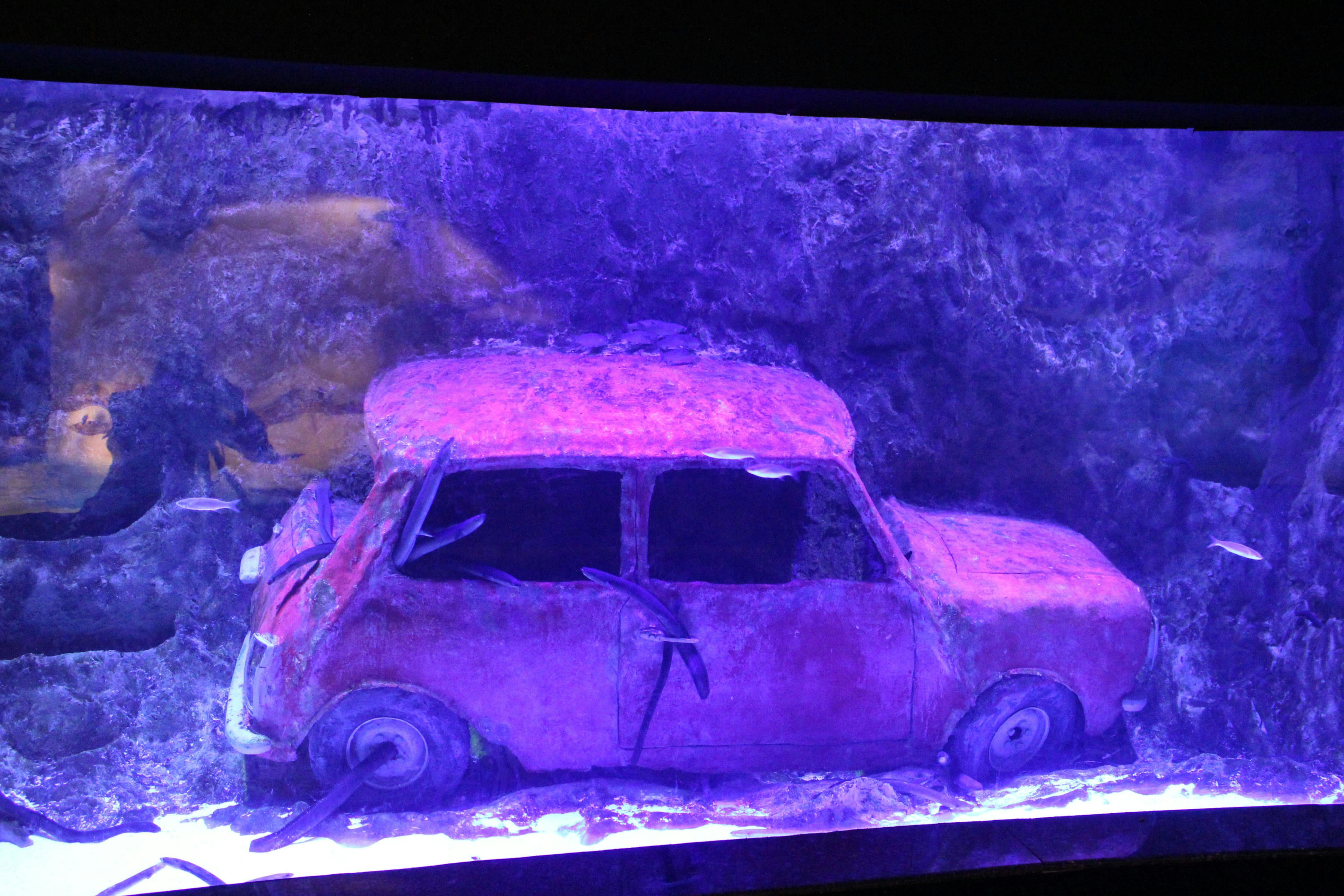 Antalya Aquarium Ticket