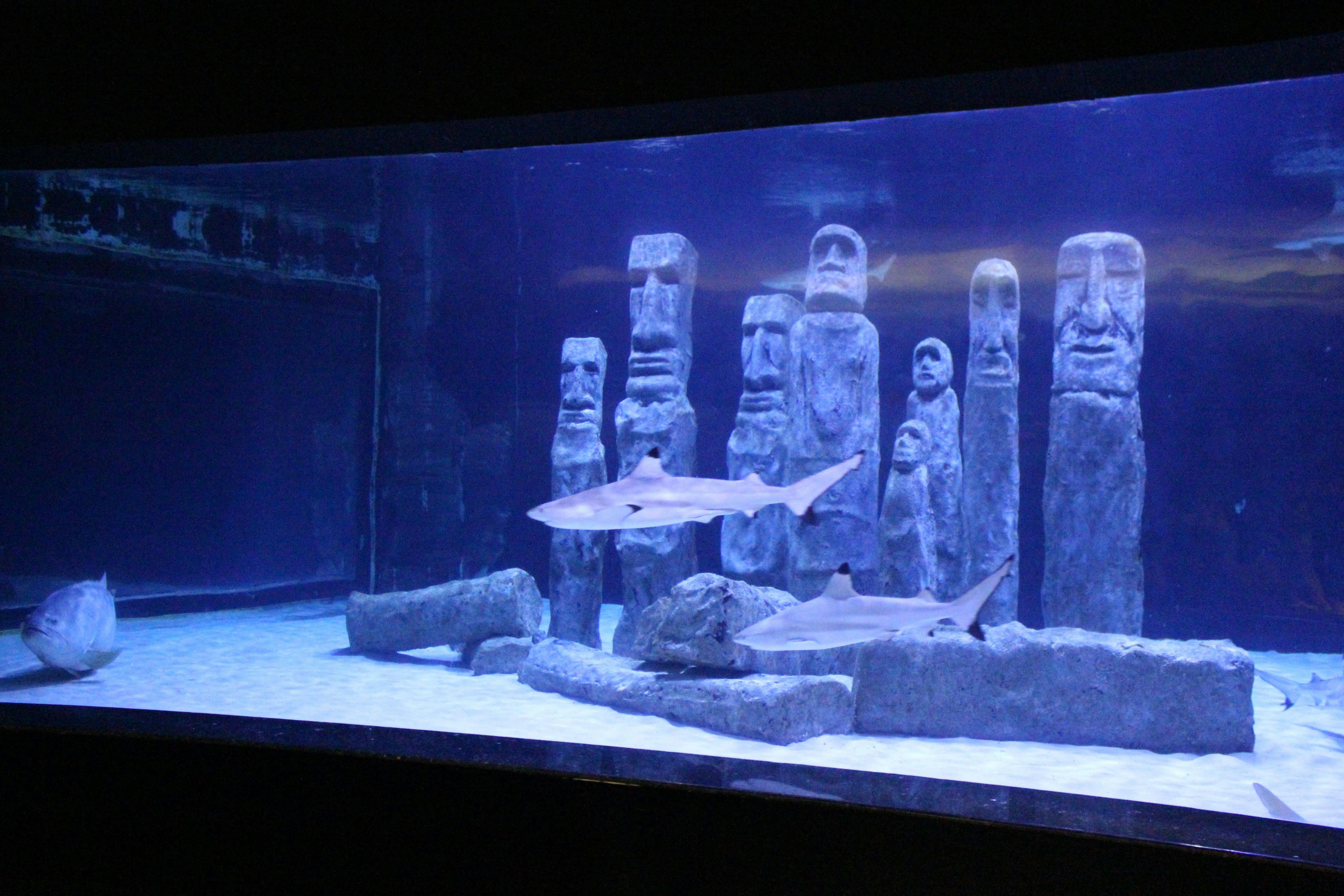 Antalya Aquarium Ticket