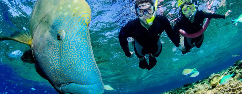 Port Douglas outer reef snorkelling tour