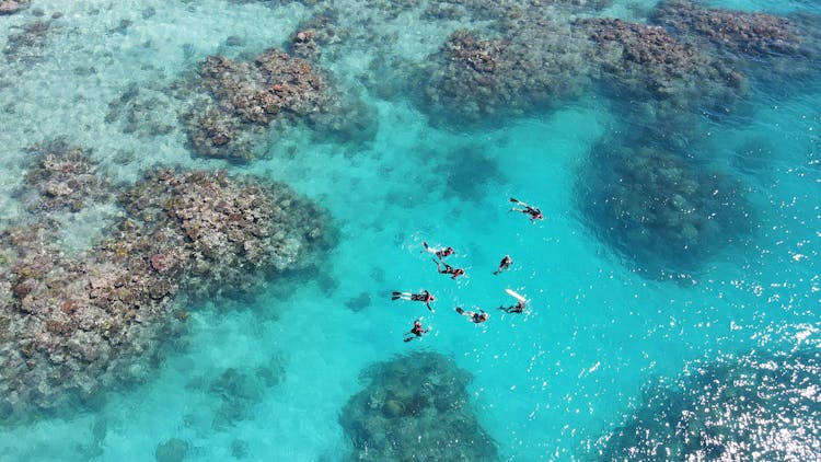 Port Douglas outer reef snorkelling tour